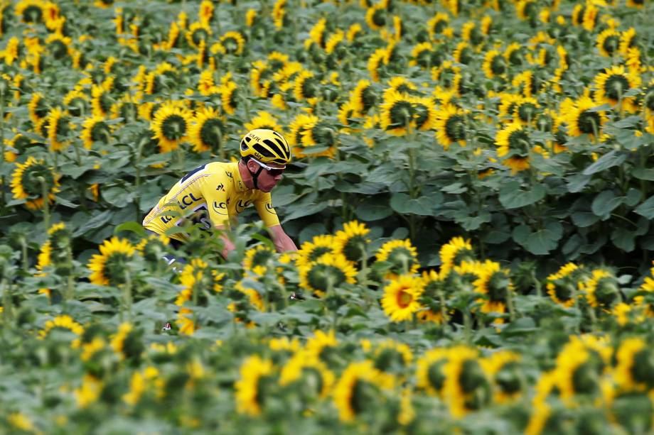 O ciclista britânico Chris Froome passa por um campo de girassóis durante a décima etapa da 104ª edição do Tour de entre Perigueux e Bergerac, na França - 11/07/2017