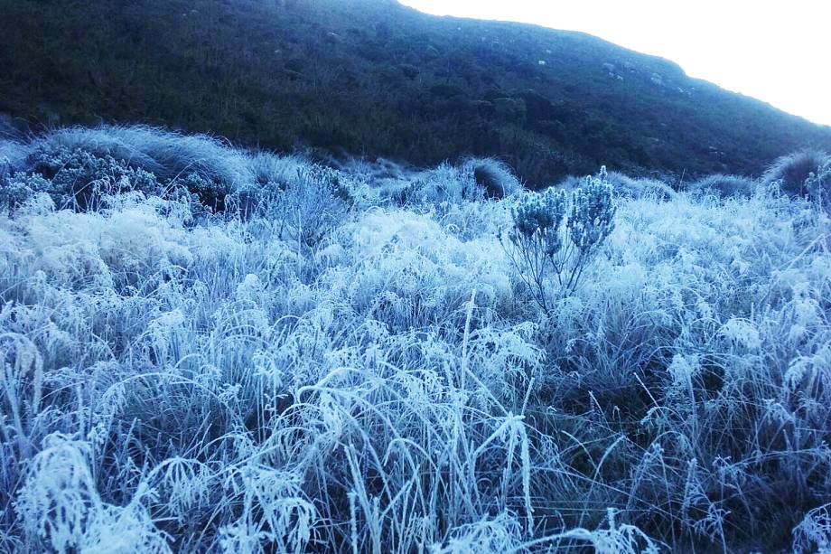 Registro de geada na madrugada de quinta-feira. A mínima foi de -6,9 graus