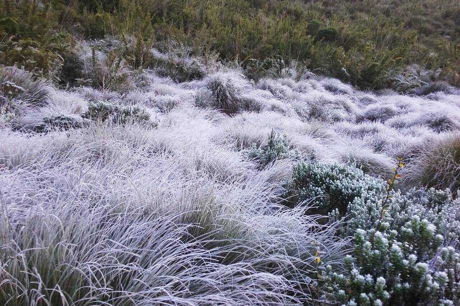 Registro de geada na madrugada de quinta-feira. A mínima foi de -6,9 graus