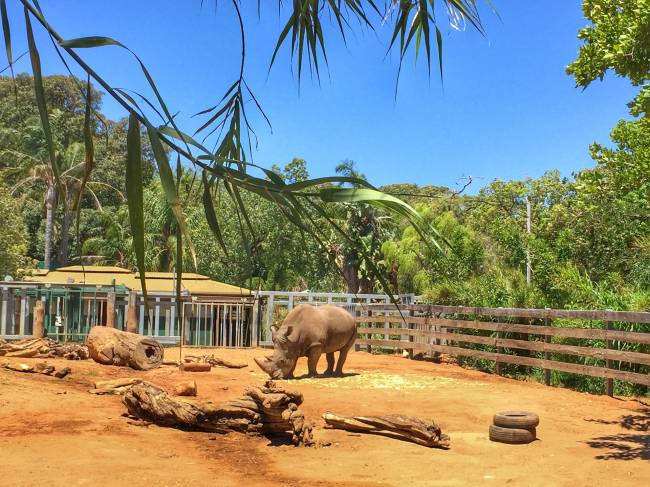 oas melhore zoológicos do mundo