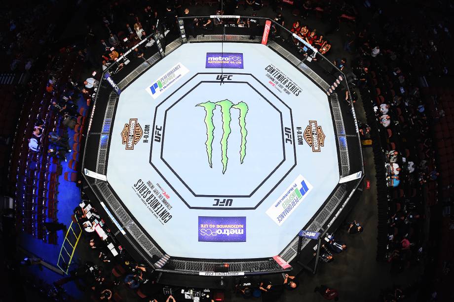 Vista do octógono no UFC 214 em Anaheim (EUA) - 29/07/2017