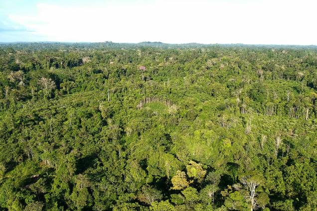 Decreto assinado pelo presidente Michel Temer no último dia 23 determina a extinção da Reserva Nacional de Cobre e Seus Associados, que abrange uma área de cerca de 47.000 quilômetros quadrados entre o Amapá e o Pará. Criticado nas redes sociais, o peemedebista editou um novo decreto, com explicações sobre a exploração mineral na área; na última sexta-feira o Ministério das Minas e Energia suspendeu os efeitos da medida por 120 dias, anunciando um "amplo debate com a sociedade" Decreto assinado pelo presidente Michel Temer no último dia 23 determina a extinção da Reserva Nacional de Cobre e Seus Associados, que abrange uma área de cerca de 47.000 quilômetros quadrados entre o Amapá e o Pará. Criticado nas redes sociais, o peemedebista editou um novo decreto, com explicações sobre a exploração mineral na área; na última sexta-feira o Ministério das Minas e Energia suspendeu os efeitos da medida por 120 dias, anunciando um "amplo debate com a sociedade"
