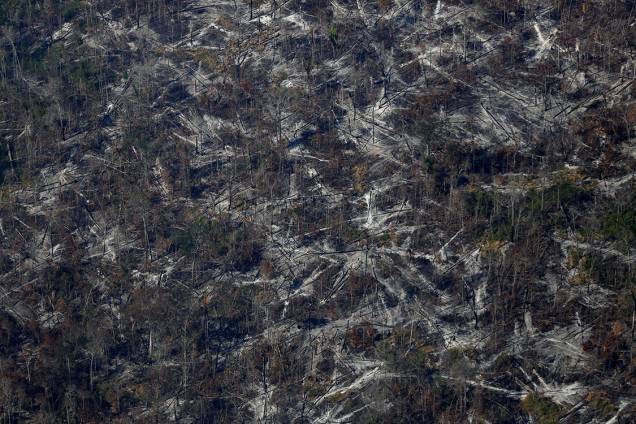 Vista aérea mostra desmatamento na Amazônia durante a 'Operação Onda Verde' Vista aérea mostra desmatamento na Amazônia durante a 'Operação Onda Verde'
