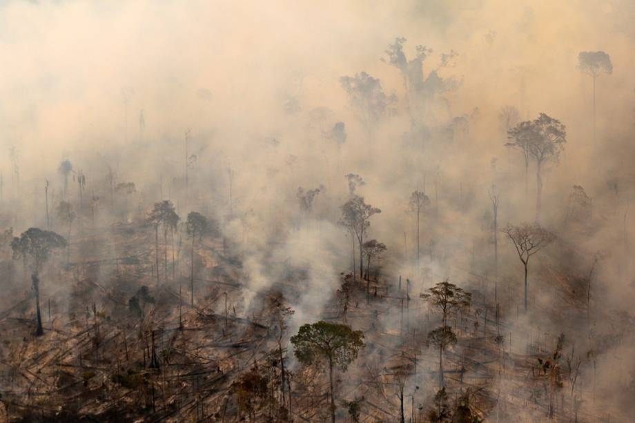 Chamas queimam floresta em Apuí, no Amazonas