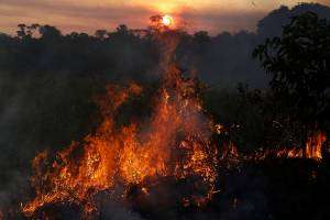 Desmatamento na Amazônia