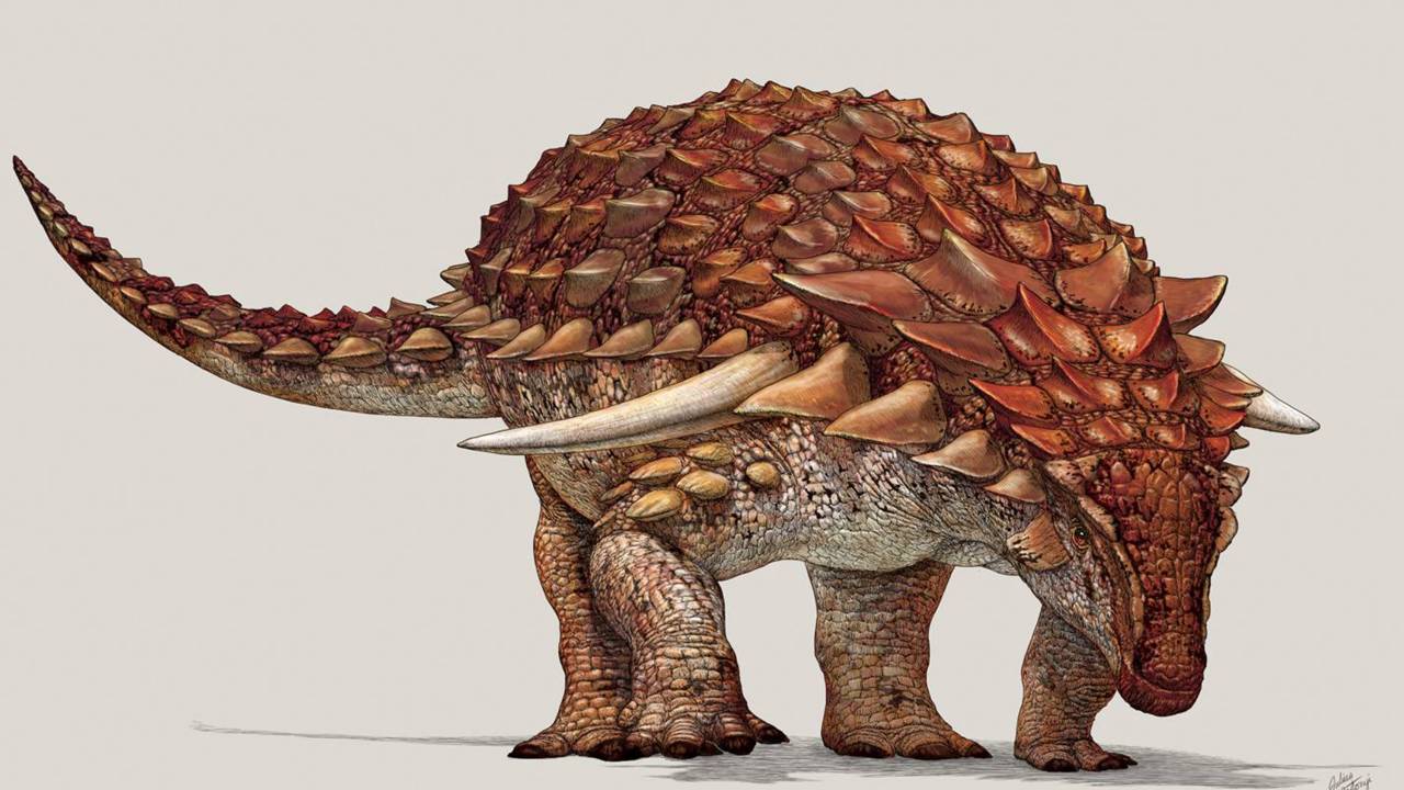 Dinossauro armadura
