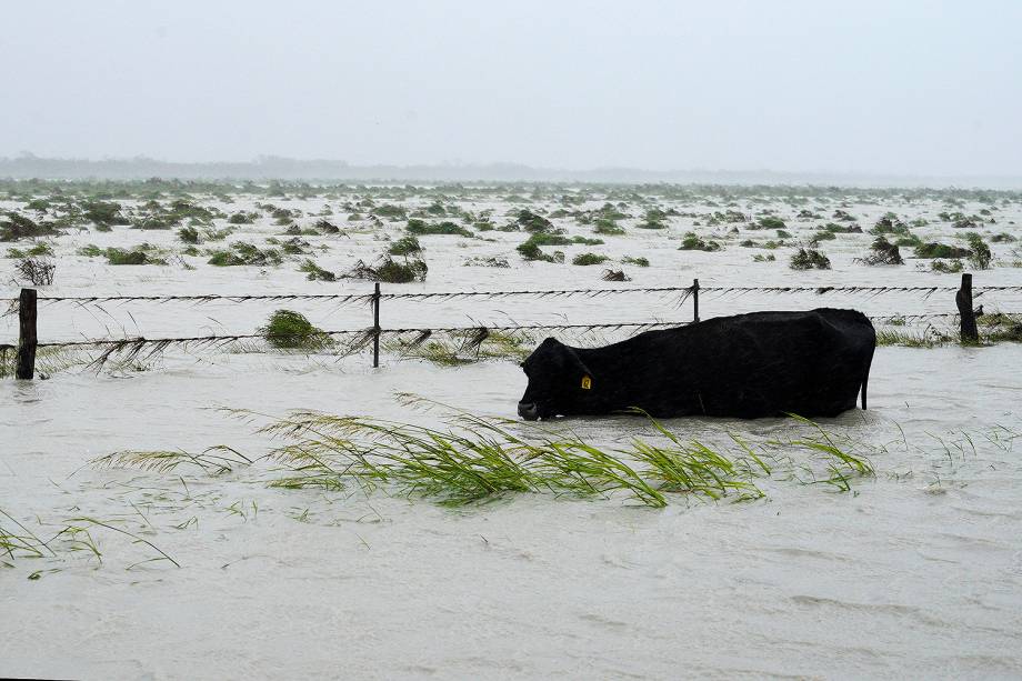 Furacão Harvey deixa mortos e inundações no Texas  - 27/08/2017