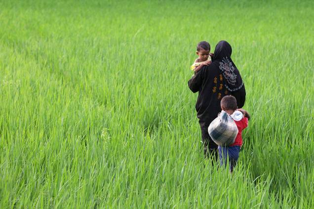Mulher rohingya caminha com seus filhos por um campo em Bangladesh, após fugir de Myanmar - 10/09/2017 Mulher rohingya caminha com seus filhos por um campo em Bangladesh, após fugir de Myanmar - 10/09/2017