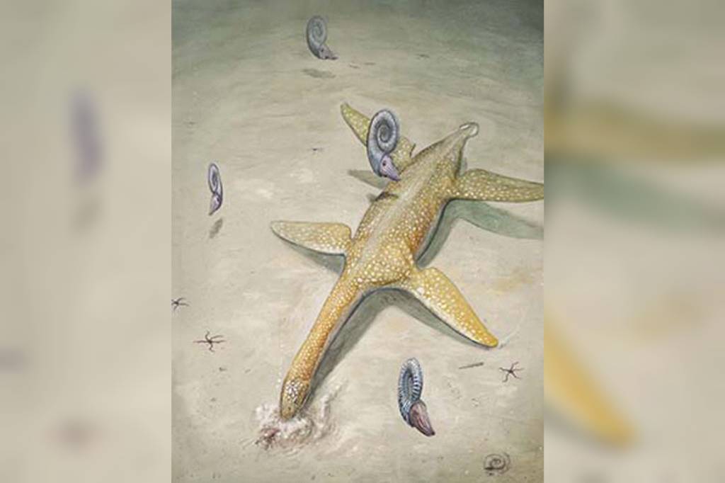 Cientistas descobrem ‘monstro marinho’ de 190 milhões de anos