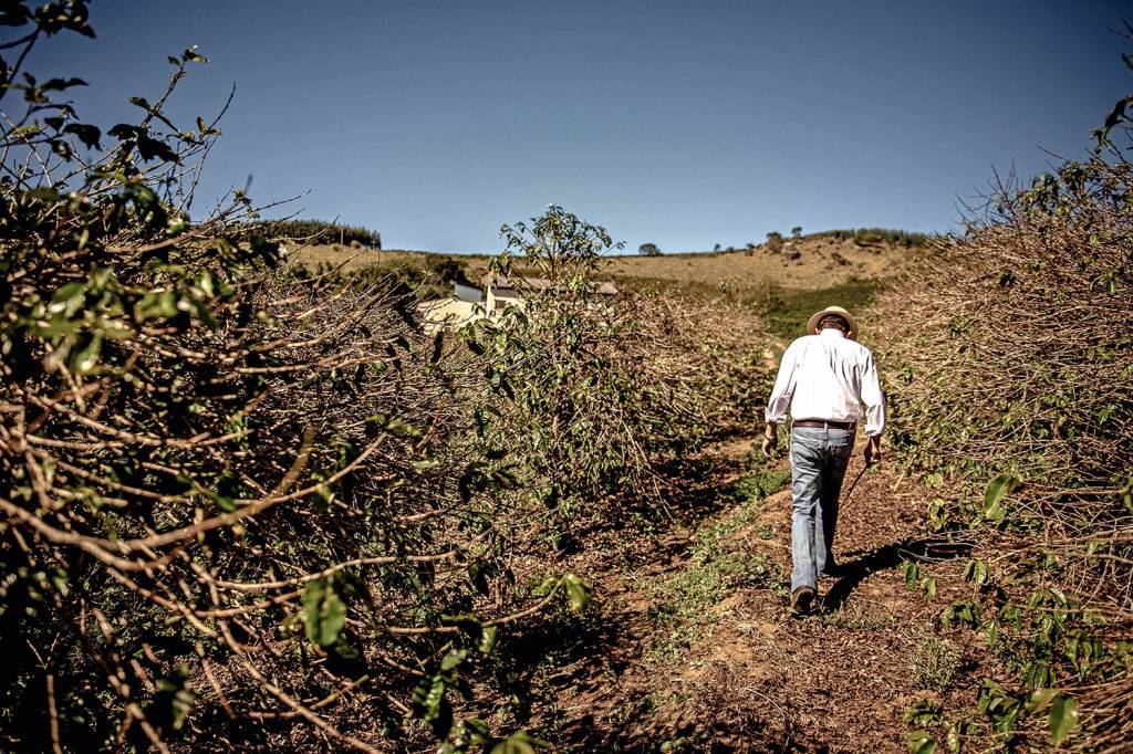 Entidades da Igreja Católica repudiam votação do ‘PL da grilagem’