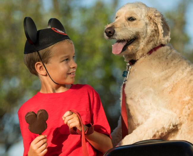 Dogs Welcome at Select Walt Disney World Hotels