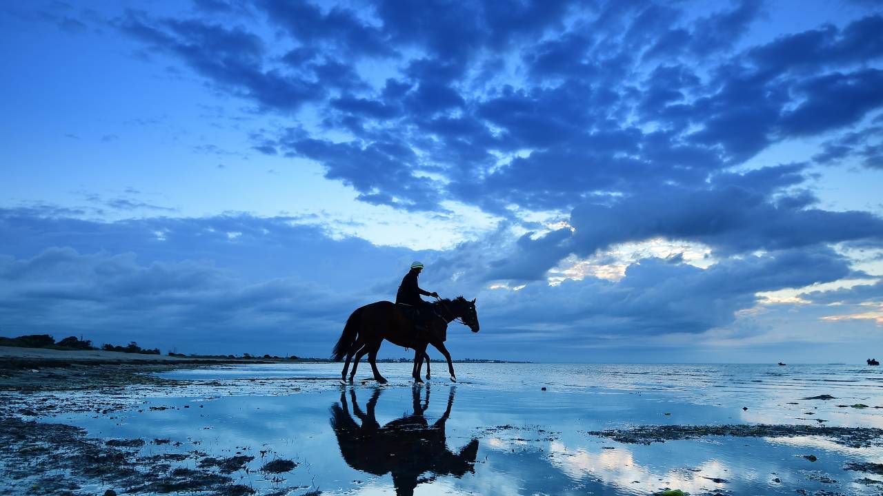 Imagens do dia - Corrida de cavalos na Austrália