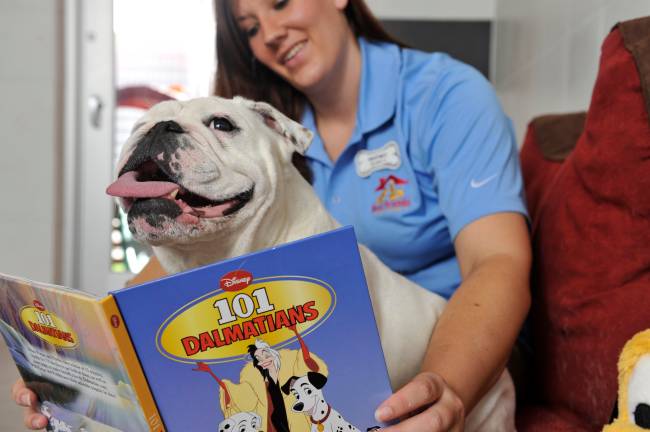 Best Friends Pet Care at Walt Disney World Resort