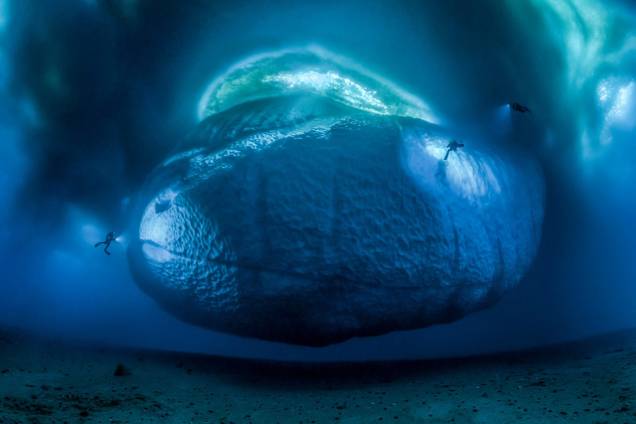 Categoria: Ambientes da Terra | O monstro de gelo - Assim que viu o magnífico gigante do gelo, o fotógrafo francês Laurent Ballesta ansiava por revelar suas profundidades ocultas. Usando uma lente grande angular, Laurent e sua equipe produziram 147 imagens diferentes ao longo de três dias. Após uma costura cuidadosa, a imagem final foi montada e pronta para ser vista Categoria: Ambientes da Terra | O monstro de gelo - Assim que viu o magnífico gigante do gelo, o fotógrafo francês Laurent Ballesta ansiava por revelar suas profundidades ocultas. Usando uma lente grande angular, Laurent e sua equipe produziram 147 imagens diferentes ao longo de três dias. Após uma costura cuidadosa, a imagem final foi montada e pronta para ser vista