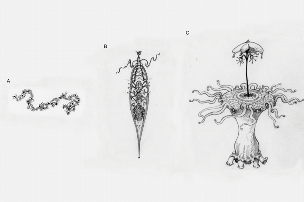 Se ETs existissem, como seriam? Estudo traz pistas evolutivas