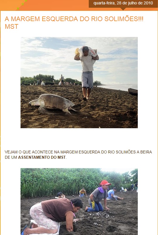 blog 2010