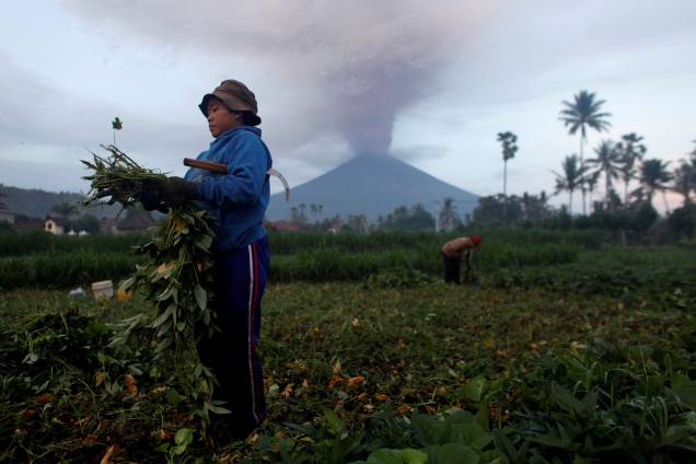 Agricultores cuidam de suas colheitas enquanto o Monte Agung entra em erupção em Bali, na Indonésia - 27/11/2017 Agricultores cuidam de suas colheitas enquanto o Monte Agung entra em erupção em Bali, na Indonésia - 27/11/2017