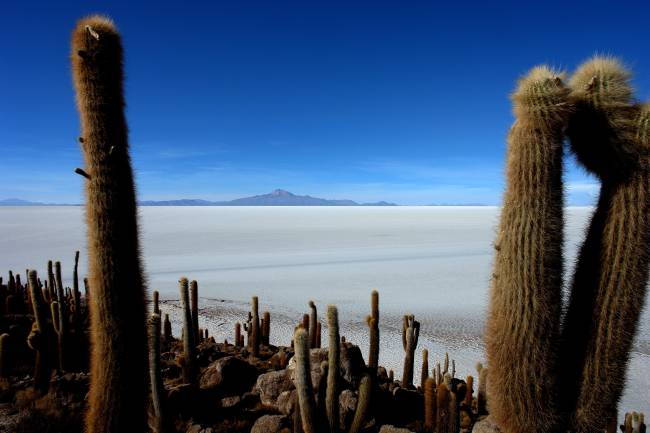 salar-uyuni-777621_1920