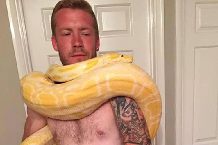 Britânico morto por sua Piton de estimação