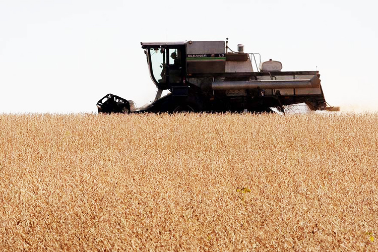 PIB cresce 1% em 2017, e volta a subir após dois anos em queda