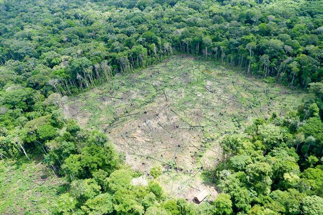 A Amazônia é o novo Rio