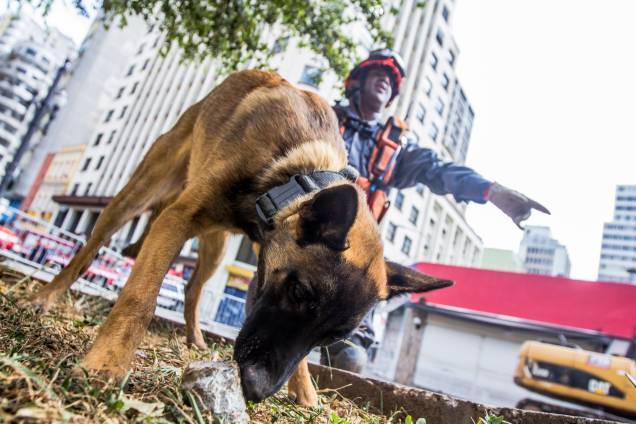 Trabalho das equipes de resgate no local do desabamento do edificio Wilton Paes de Almeida, no Largo do Paissandu, região central de São Paulo - 09/05/2018 Trabalho das equipes de resgate no local do desabamento do edificio Wilton Paes de Almeida, no Largo do Paissandu, região central de São Paulo - 09/05/2018