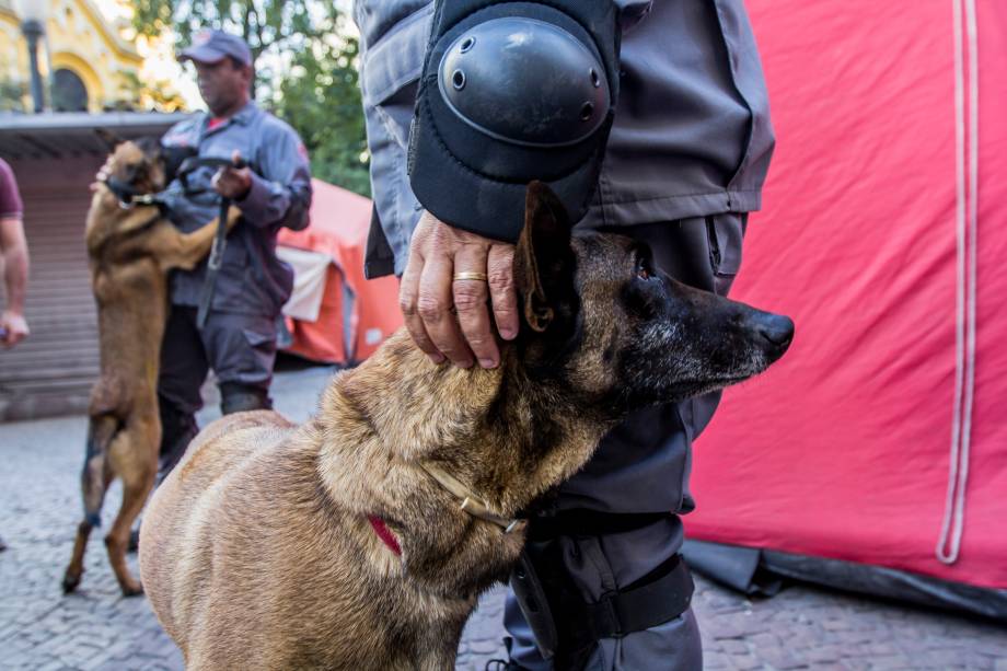 Cães farejadores auxiliam no trabalho das equipes de resgate no local do desabamento do edificio Wilton Paes de Almeida, no Largo do Paissandu, região central de São Paulo - 09/05/2018