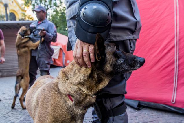 Cães farejadores auxiliam no trabalho das equipes de resgate no local do desabamento do edificio Wilton Paes de Almeida, no Largo do Paissandu, região central de São Paulo - 09/05/2018 Cães farejadores auxiliam no trabalho das equipes de resgate no local do desabamento do edificio Wilton Paes de Almeida, no Largo do Paissandu, região central de São Paulo - 09/05/2018