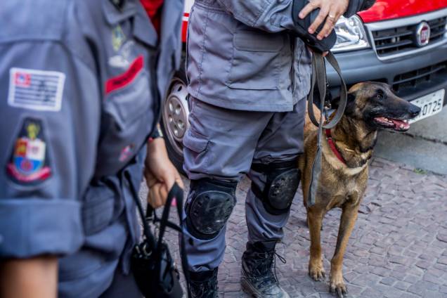 Cães farejadores auxiliam no trabalho das equipes de resgate no local do desabamento do edificio Wilton Paes de Almeida, no Largo do Paissandu, região central de São Paulo - 09/05/2018 Cães farejadores auxiliam no trabalho das equipes de resgate no local do desabamento do edificio Wilton Paes de Almeida, no Largo do Paissandu, região central de São Paulo - 09/05/2018