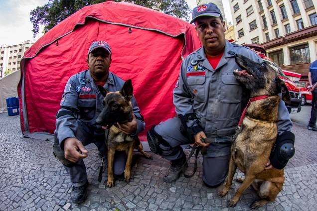 TCães farejadores auxiliam no trabalho das equipes de resgate no local do desabamento do edificio Wilton Paes de Almeida, no Largo do Paissandu, região central de São Paulo - 09/05/2018 TCães farejadores auxiliam no trabalho das equipes de resgate no local do desabamento do edificio Wilton Paes de Almeida, no Largo do Paissandu, região central de São Paulo - 09/05/2018