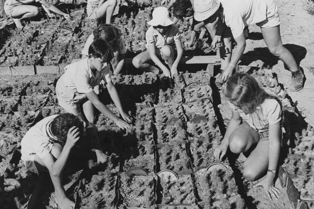 Crianças ajudam agricultores a plantar sementes - 1950 Crianças ajudam agricultores a plantar sementes - 1950
