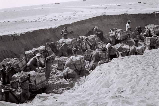 Trabalhadores judeus utilizam camelos para transportar materiais utilizados em construções - 01/06/1939 Trabalhadores judeus utilizam camelos para transportar materiais utilizados em construções - 01/06/1939