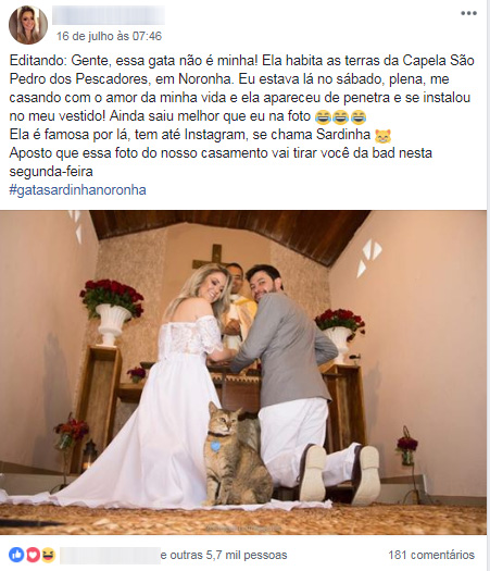 Print – Gata invade casamento noiva gatinho altar Fernando de Noronha