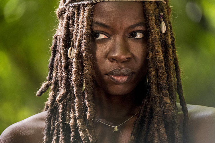 The Walking Dead The Walking Dead