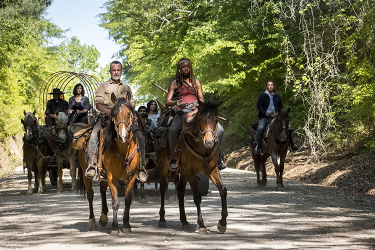 The Walking Dead The Walking Dead