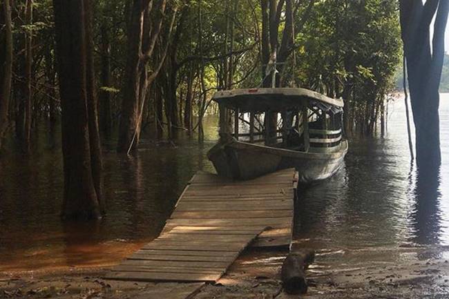 Amazônia Amazônia