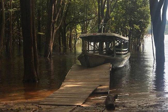 Amazônia