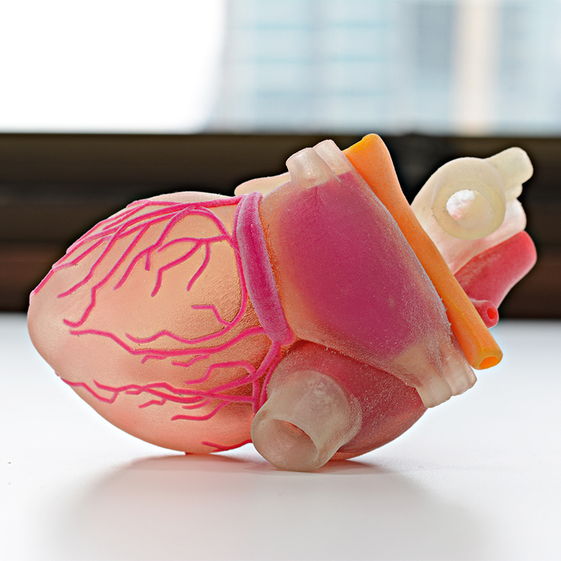 Coração sintético em 3D Coração sintético em 3D