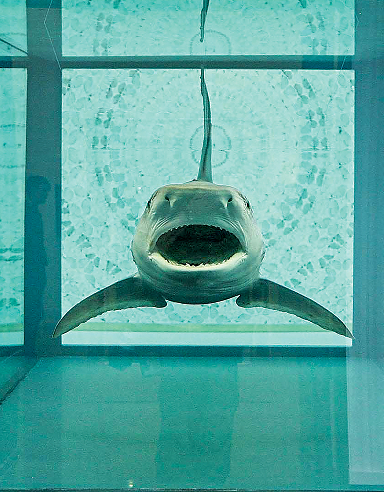Tubarão de Damien Hirst Tubarão de Damien Hirst