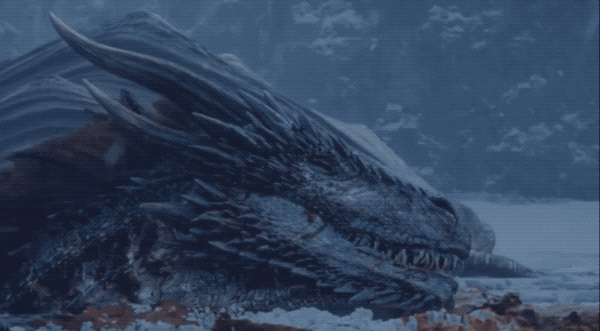 dragon dragon