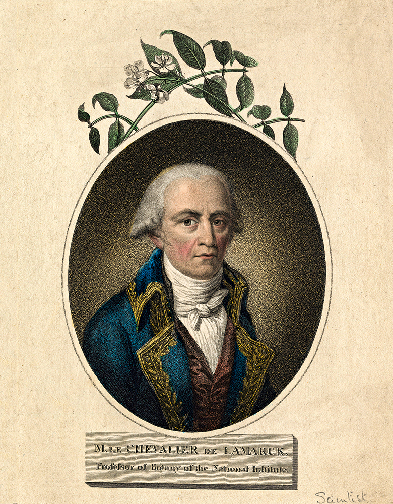 Jean Baptiste Lamarck Jean Baptiste Lamarck