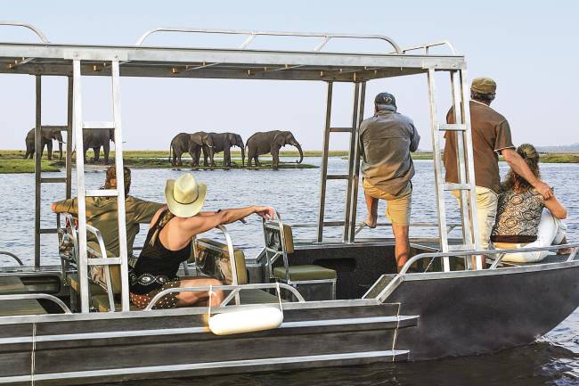 Observação_Chobe