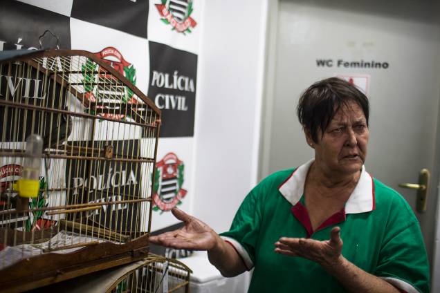 Maria Tereza da Silva, de 65 anos, implorava para que ela pudesse ficar com os seus cinco papagaios Maria Tereza da Silva, de 65 anos, implorava para que ela pudesse ficar com os seus cinco papagaios