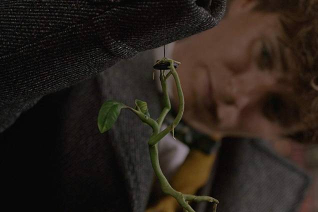 Eddie Redmayne em Animais Fantásticos: Os Crimes de Grindelwald Eddie Redmayne em Animais Fantásticos: Os Crimes de Grindelwald
