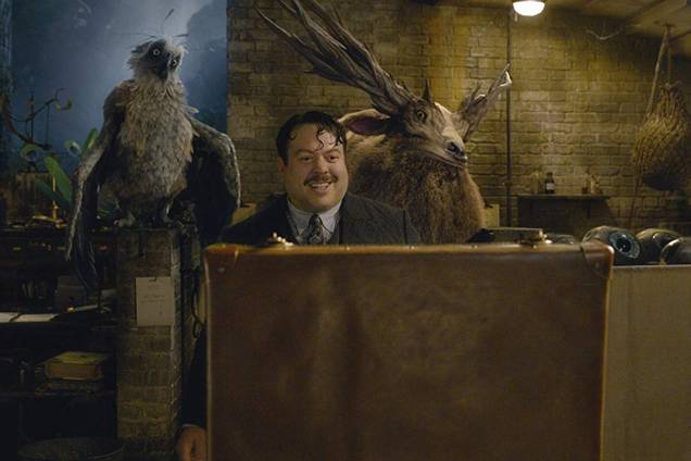 Dan Fogler em Animais Fantásticos: Os Crimes de Grindelwald Dan Fogler em Animais Fantásticos: Os Crimes de Grindelwald