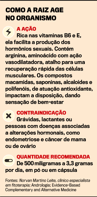 ficha-maca ficha-maca