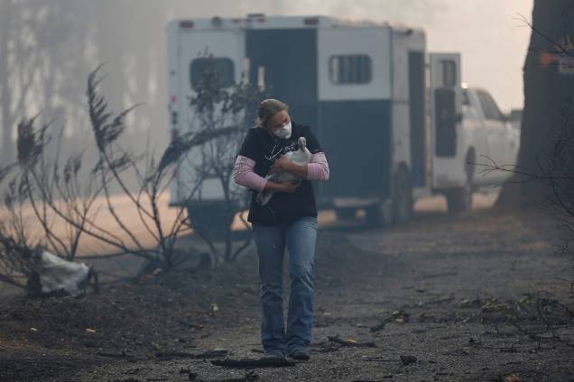 Veterinária carrega um ganso machucado de um local incendiado durante o incêndio Camp Fire em Paradise, na Califórnia - 10/11/2018 Veterinária carrega um ganso machucado de um local incendiado durante o incêndio Camp Fire em Paradise, na Califórnia - 10/11/2018