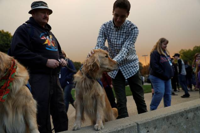 Reuben, um cão treinado para auxiliar pessoas em situações de trauma, é acariciado por um homem no estacionamento da igreja Luterana de Chico, usado como abrigo de emergência para os deslocados do Camp Fire, na Califórnia - 11-11/2018 Reuben, um cão treinado para auxiliar pessoas em situações de trauma, é acariciado por um homem no estacionamento da igreja Luterana de Chico, usado como abrigo de emergência para os deslocados do Camp Fire, na Califórnia - 11-11/2018