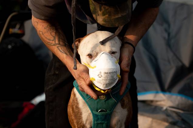Homem coloca uma máscara respiratória em seu cão em um acampamento de desabrigados no estacionamento de um supermercado em Chico, na Califórnia - 17/11/2018 Homem coloca uma máscara respiratória em seu cão em um acampamento de desabrigados no estacionamento de um supermercado em Chico, na Califórnia - 17/11/2018
