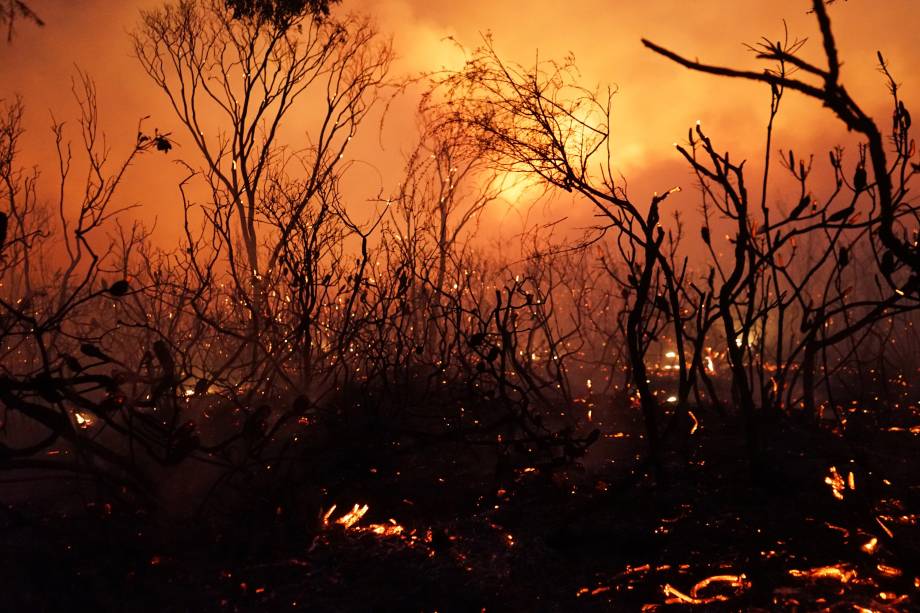 Chamas avançam sobre os arbustos durante um incêndio no Parque Nacional de Deepwater em Queensland, nordeste da Austrália - 29/11/2018